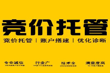 某电商平台的成功案例：信息流优化师的策略与成果